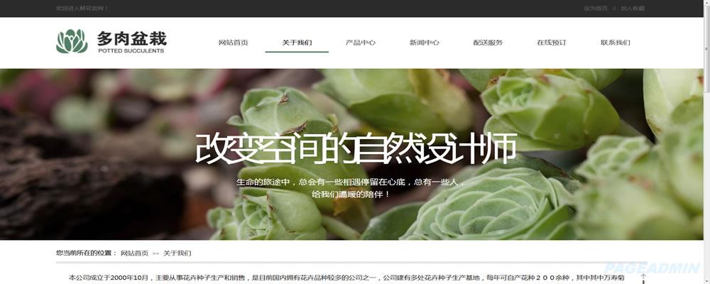 企业网站建设栏目怎么规
划