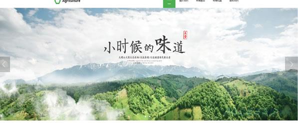 网站建设你不知道的那些
事？