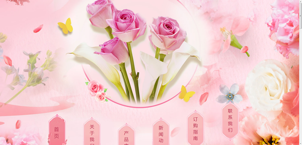 学习网站设计有哪些步骤